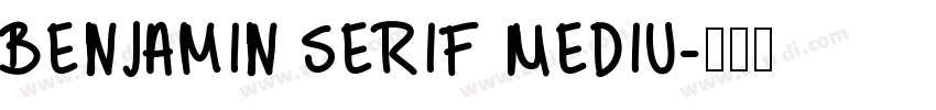 Benjamin Serif Mediu字体转换